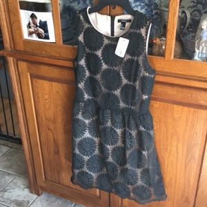 FOREVER 21 👗 Dress